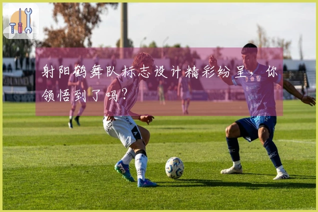 射阳鹤舞队标志设计精彩纷呈，你领悟到了吗？