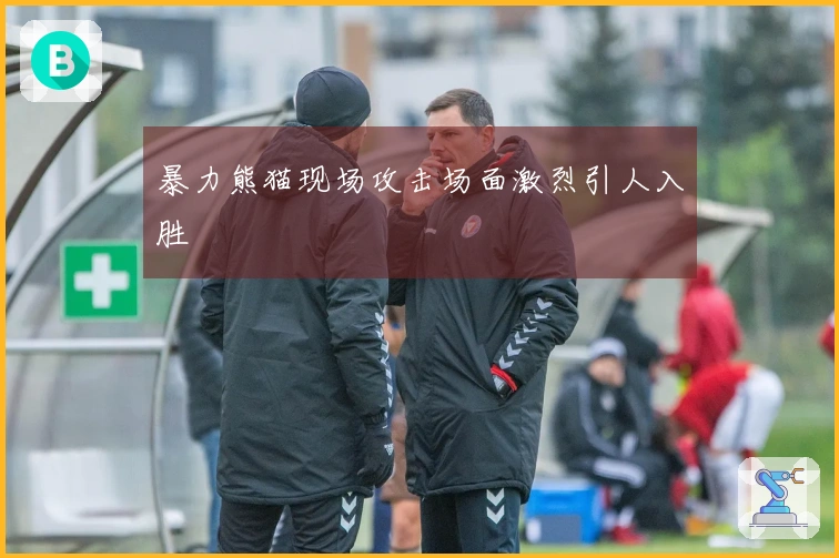 暴力熊猫现场攻击场面激烈引人入胜