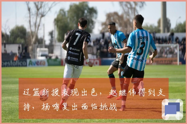 辽篮新援表现出色，赵继伟得到支持，杨鸣复出面临挑战